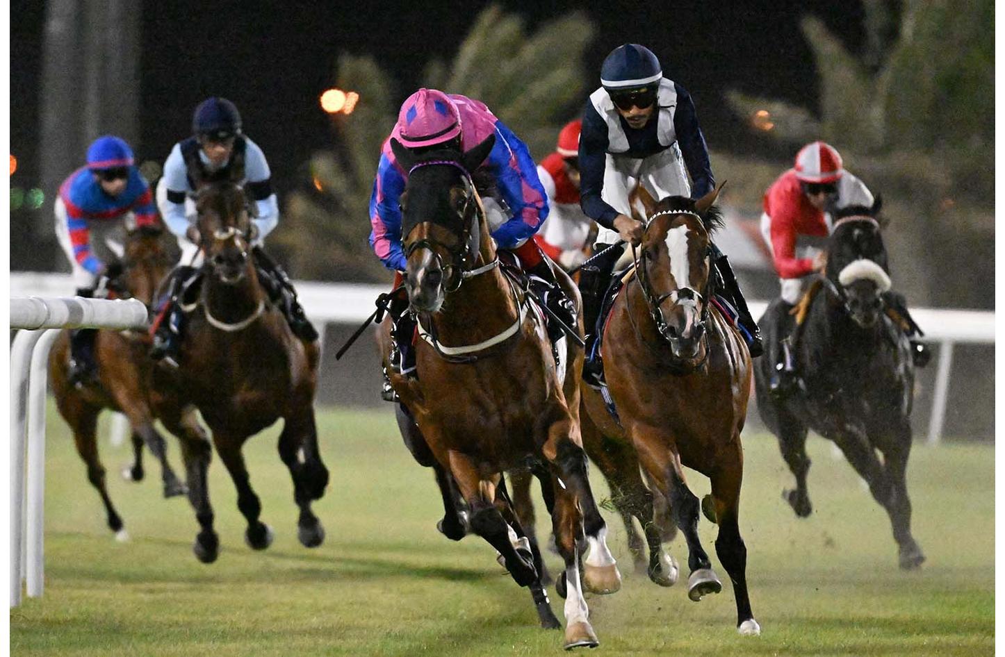 استعدادات مكثّفة وترقّب جماهيري لانطلاقة موسم سباقات الخيل 2025/2026 - صحيفة الأيام البحرينية