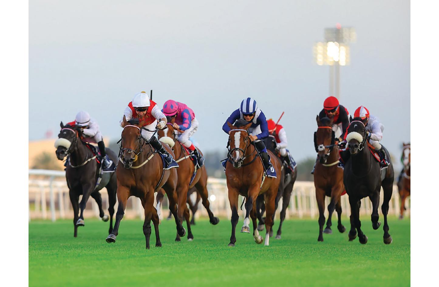 عودة الحضور الجماهيري وختام بطولة نجوم المستقبل في السباق الثامن والعشرين للخيل - صحيفة الأيام البحرينية