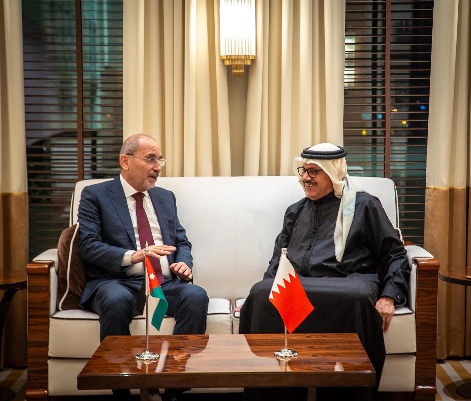 نائب رئيس الوزراء وزير الخارجية وشؤون المغتربين بالأردن يصل إلى البلاد #الأيام 