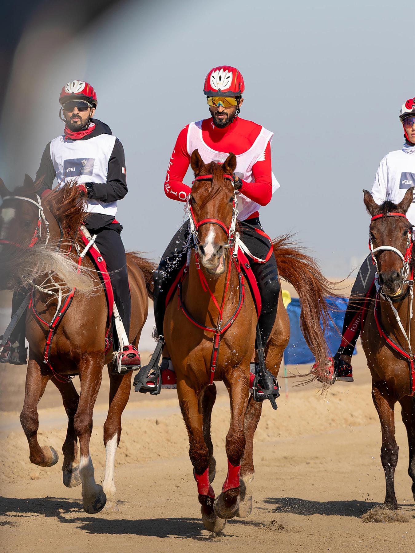 ناصر بن حمد يشارك في بطولة كأس خالد بن حمد للقدرة #الأيام 