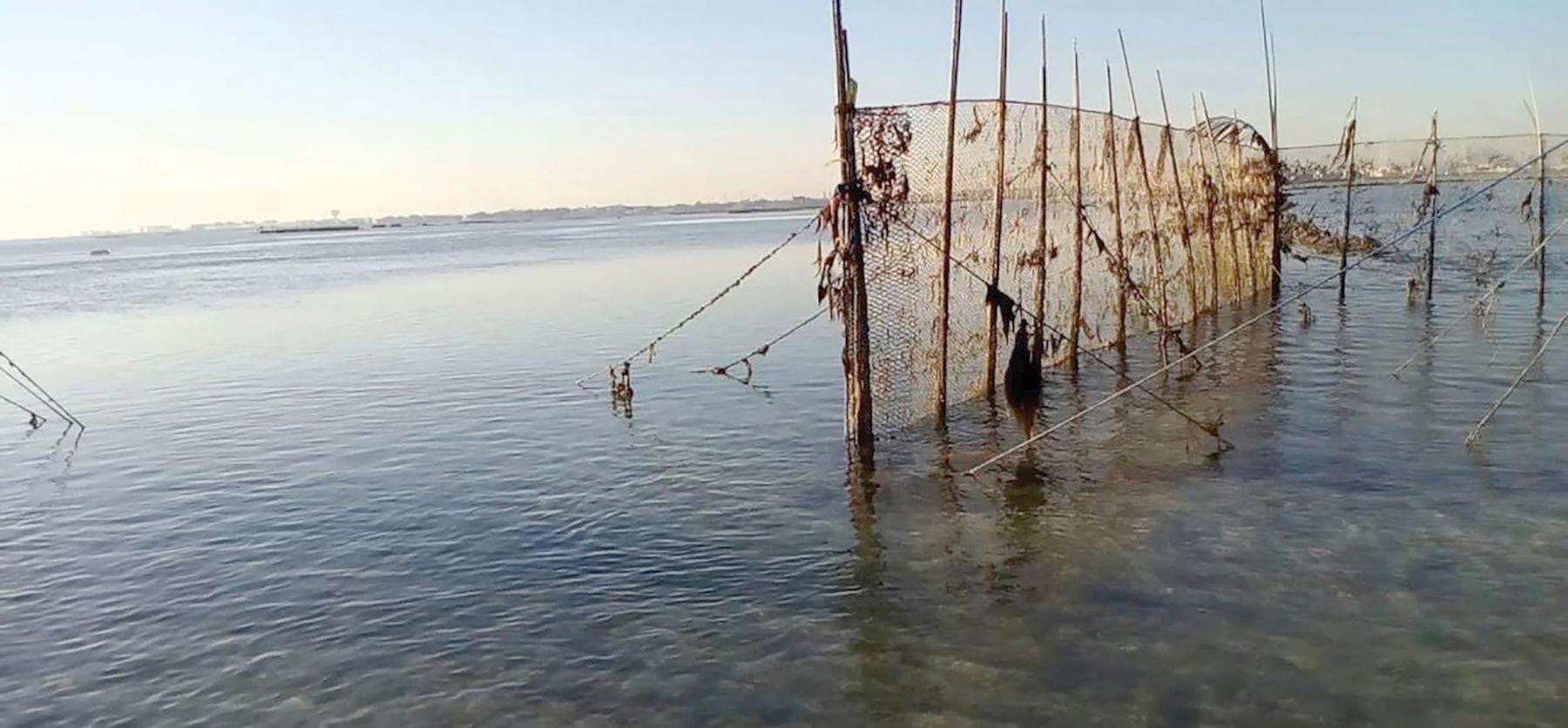 الحكومة: تعذّر إعادة «الحظور» لمخالفتها قانون حماية الثروة البحرية 